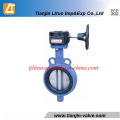 Manufacturer Butterfly Valve with Wormgear